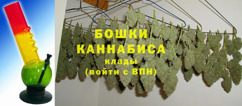 Бошки Шишки планчик  Абаза 